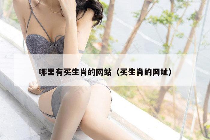 哪里有买生肖的网站（买生肖的网址）