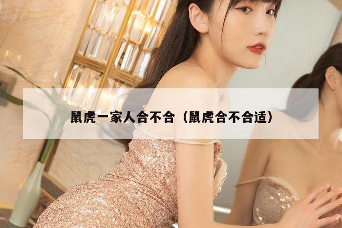 鼠虎一家人合不合（鼠虎合不合适）