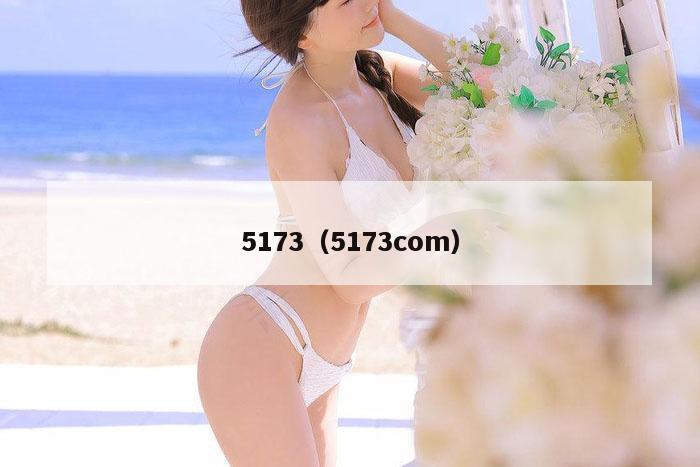 5173（5173com）