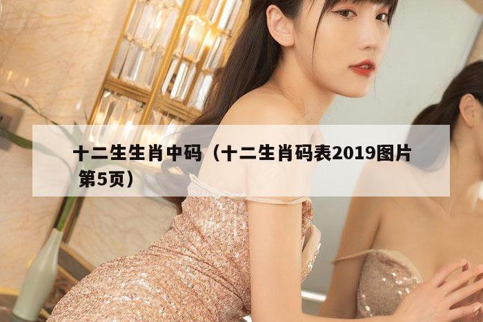 十二生生肖中码（十二生肖码表2019图片 第5页）